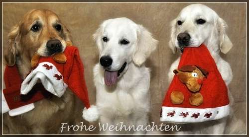 Foto von S. Rauth Fotodesign