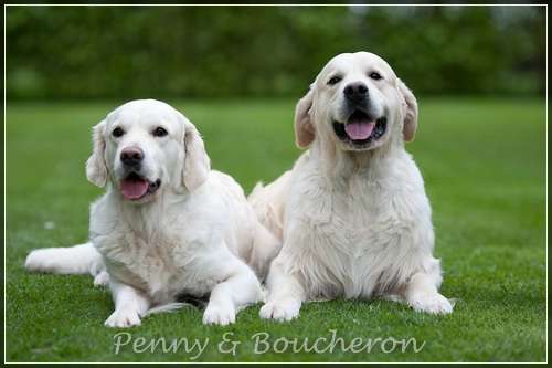 A-Wurf Planung, wir waren am 01.04.2012 bei Boucheron.