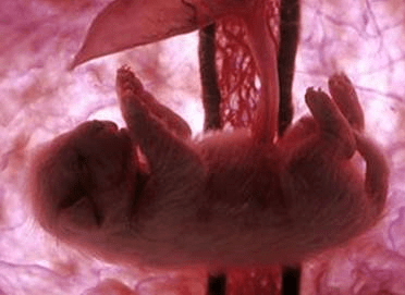 Quelle: National Geographic