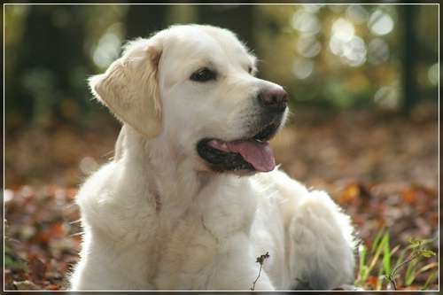 am 10.04.2013 feiern wir Penny´s 4. Geburtstag