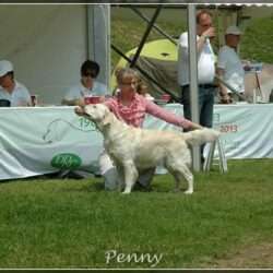 Burg Hardenberg 50 Jahre DRC
