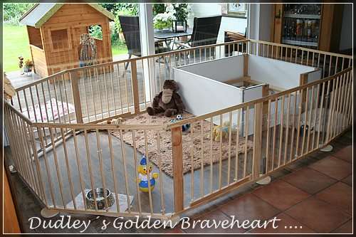 Seit ein paar Tagen ist nun auch der Auslauf vergrößert.