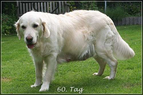 Penny meint, es soll bald los gehen.