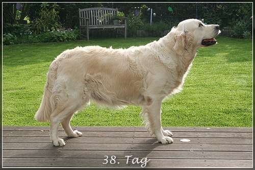 Die Murmel wächst :-)