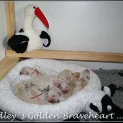 Sie wurden am 23.05.2014 in den Abendstunden geboren