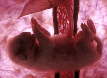 Quelle: National Geographic