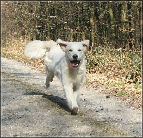 Dyke mit knapp 10 Monaten