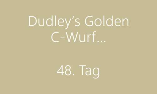 Video, heute war unsere Tier- Hebamme des Vertrauens wieder da.