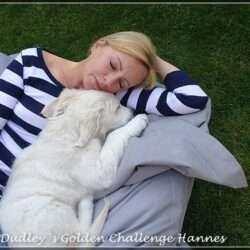 Dudley's Golden Challenge Caspar