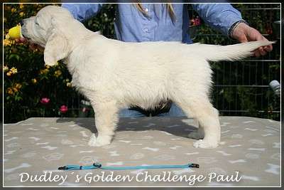 Dudley's Golden Challenge Paul