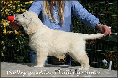 Dudley's Golden Challenge Rover