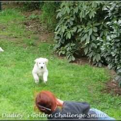 Dudley's Golden Challenge Smilla