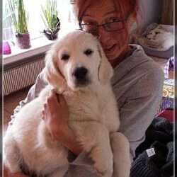 Dudley's Golden Challenge Smilla