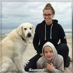 Dudley's Golden Challenge Sammy