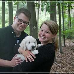 Dudley's Golden Diamond Green