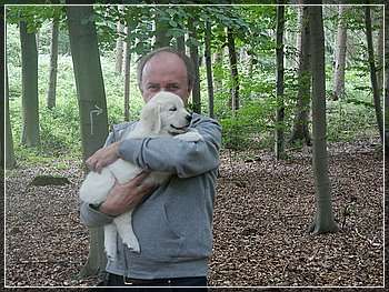 Dudley's Golden Diamond Yellow