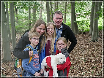 Dudley's Golden Diamond Red