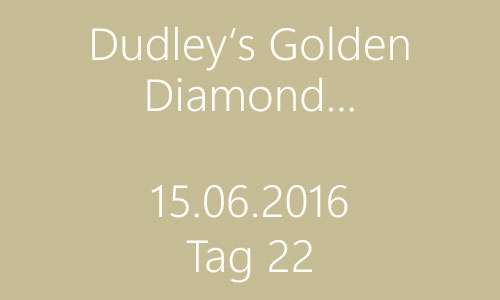 die Diamonds sind nun drei Wochen jung