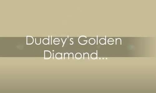 Dudley's Golden D-Wurf