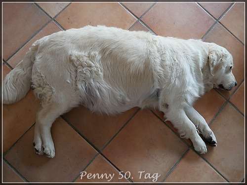 Penny ist putzmunter unterwegs, der Hunger ist ihr ständiger Begleiter