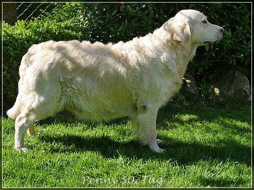 Penny ist putzmunter unterwegs, der Hunger ist ihr ständiger Begleiter