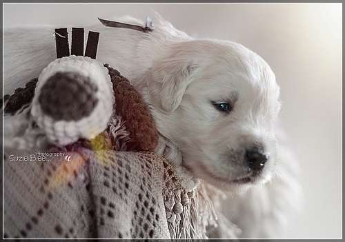 Susanne Bach hat heute unsere Diamond´s ins rechte Licht gesetzt.