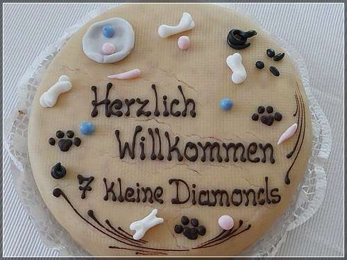 Alle Jahre wieder überraschen uns Katja und Sascha mit einer Mottotorte zum aktuellen Wurf.