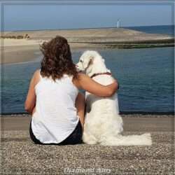 Diamond Orange *Amy*