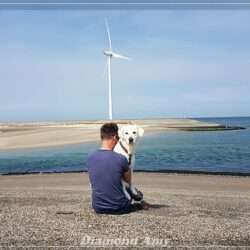 Diamond Orange *Amy*