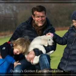 Dudley's Golden Eyecatcher Fellow