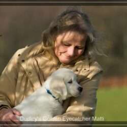 Dudley's Golden Eyecatcher Matti