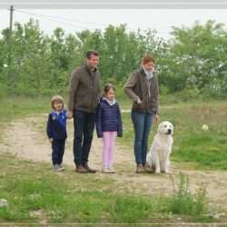 Dudley's Golden Eyecatcher Fellow