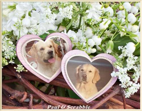 Paul & Scrabble F-Wurf