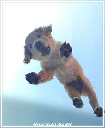 Mal ein anderes Foto