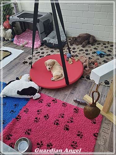 Gewicht liegt bei 2150g