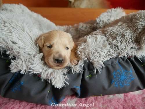 Die Augen öffnen sich