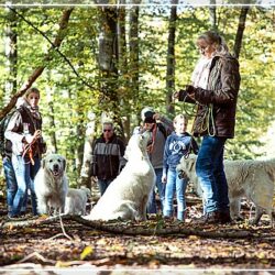 Heute feiert unser E-Wurf seinen 4. Geburtstag