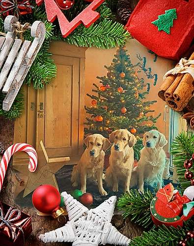 Frohe Weihnachten und ein gesundes neues Jahr 2024