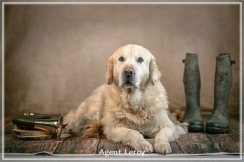 Foto von Fam.Steigenhöfer