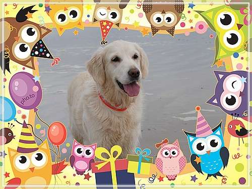 (www.pho.to) PhotoEngine::Collage::1