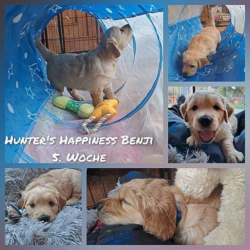 Benji ist nun 5 Wochen jung