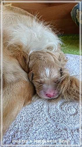 Tag 1 - noch etwas schüchtern