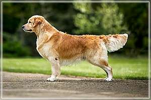 Tweed-Chester's Quantity Out Of