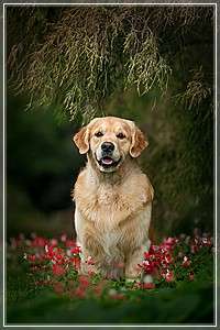 Tweed-Chester's Quantity Out Of