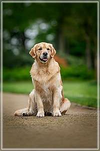 Tweed-Chester's Quantity Out Of