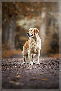 Tweed-Chester's Quantity Out Of