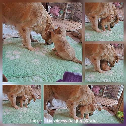 Halbzeit die 4. Woche ist vorbei