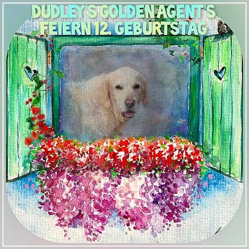 Penny ist im Herzen dabei und schaut auf ihre Agent's