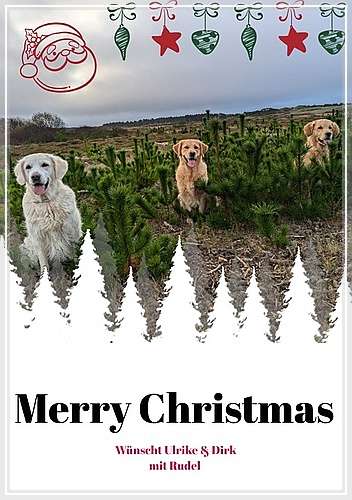 Wir wünschen unserer Nachzucht mit Familien sowie den Besuchern unserer HP, ein
besinnliches Weihnachtsfest und ein gesundes "Neues Jahr 2025".