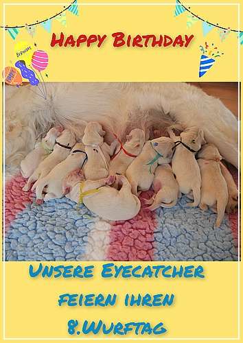 unsere Eyecatcher feiern ihren 8. Geburtstag